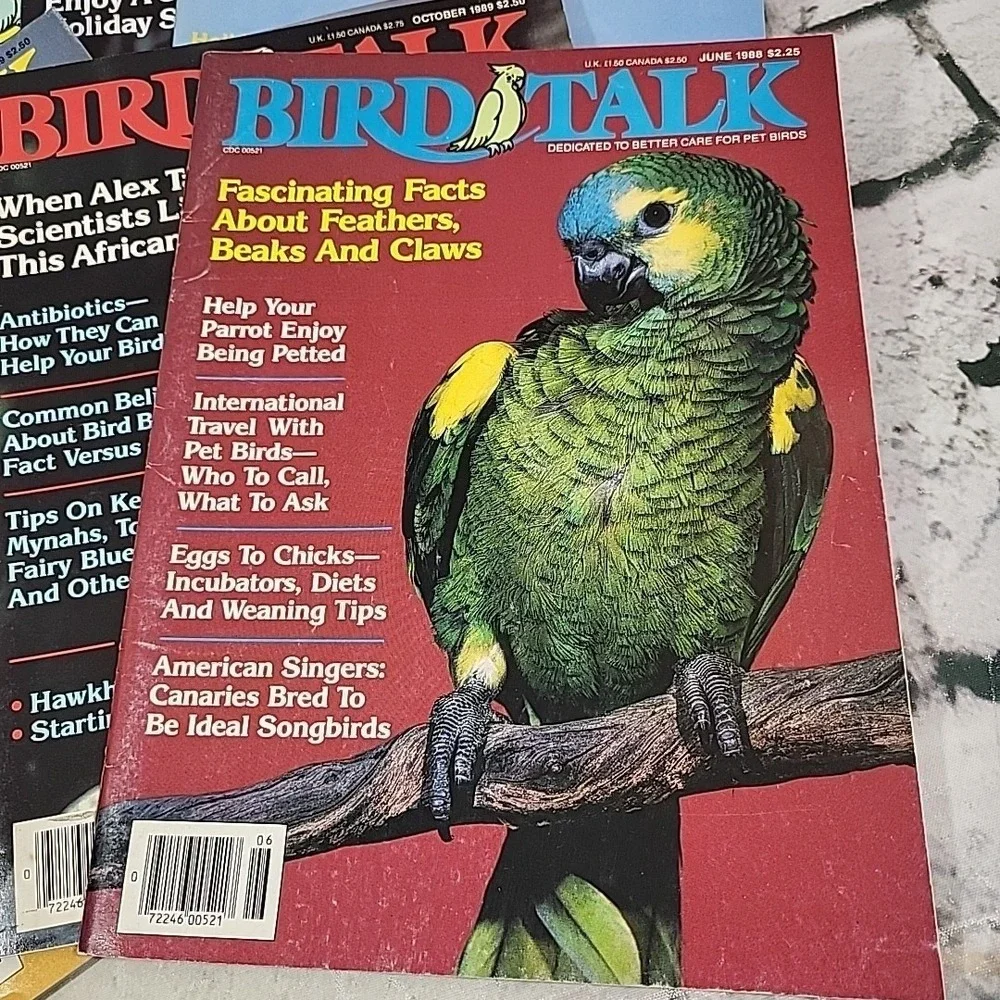 Vintage 80s Bird Talk Magazines Lot‎ Of 7 Pet Care Periodicals 1988-89
